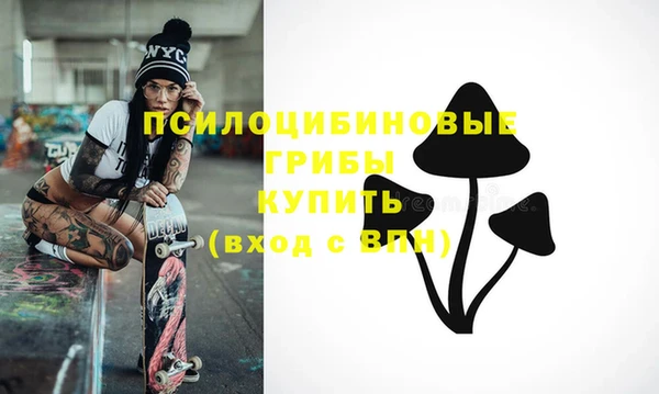 МДПВ Абаза