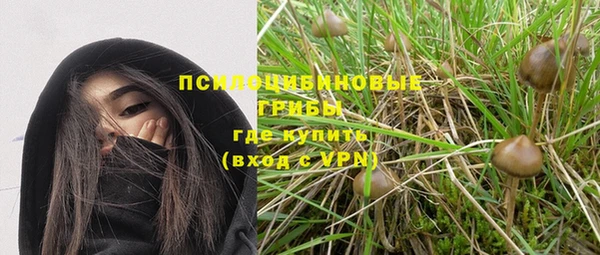 МДПВ Абаза