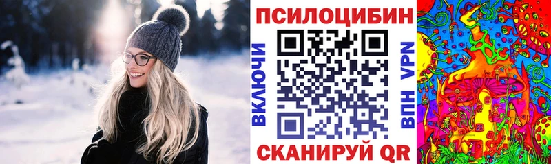 Псилоцибиновые грибы Cubensis  Алагир 